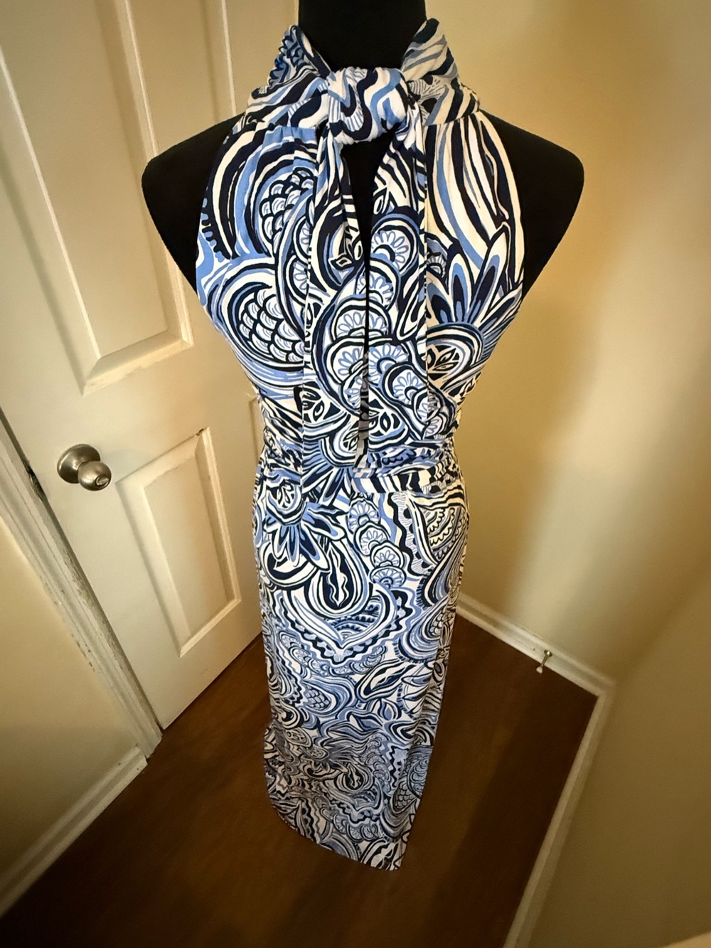 Lily Pulitzer Women’s Wyota Maxi XS - Picture 8 of 12